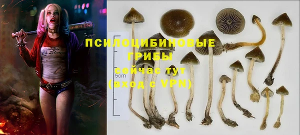 хмурый Алексин