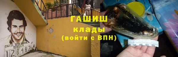 хмурый Алексин