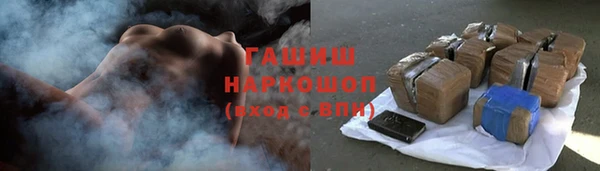 хмурый Алексин