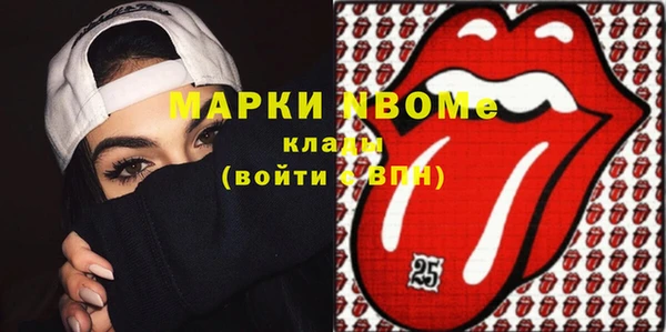 хмурый Алексин