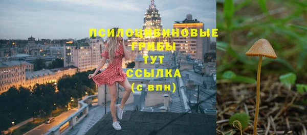 хмурый Алексеевка
