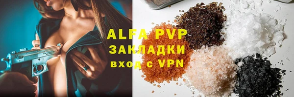 хмурый Алексин