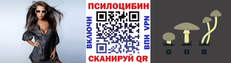 Псилоцибиновые грибы ЛСД  гидра как войти  Бавлы  купить  