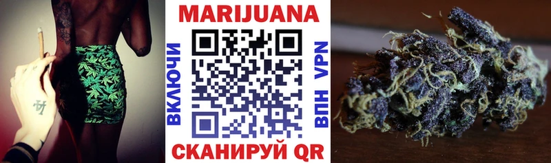 Конопля гибрид Бавлы
